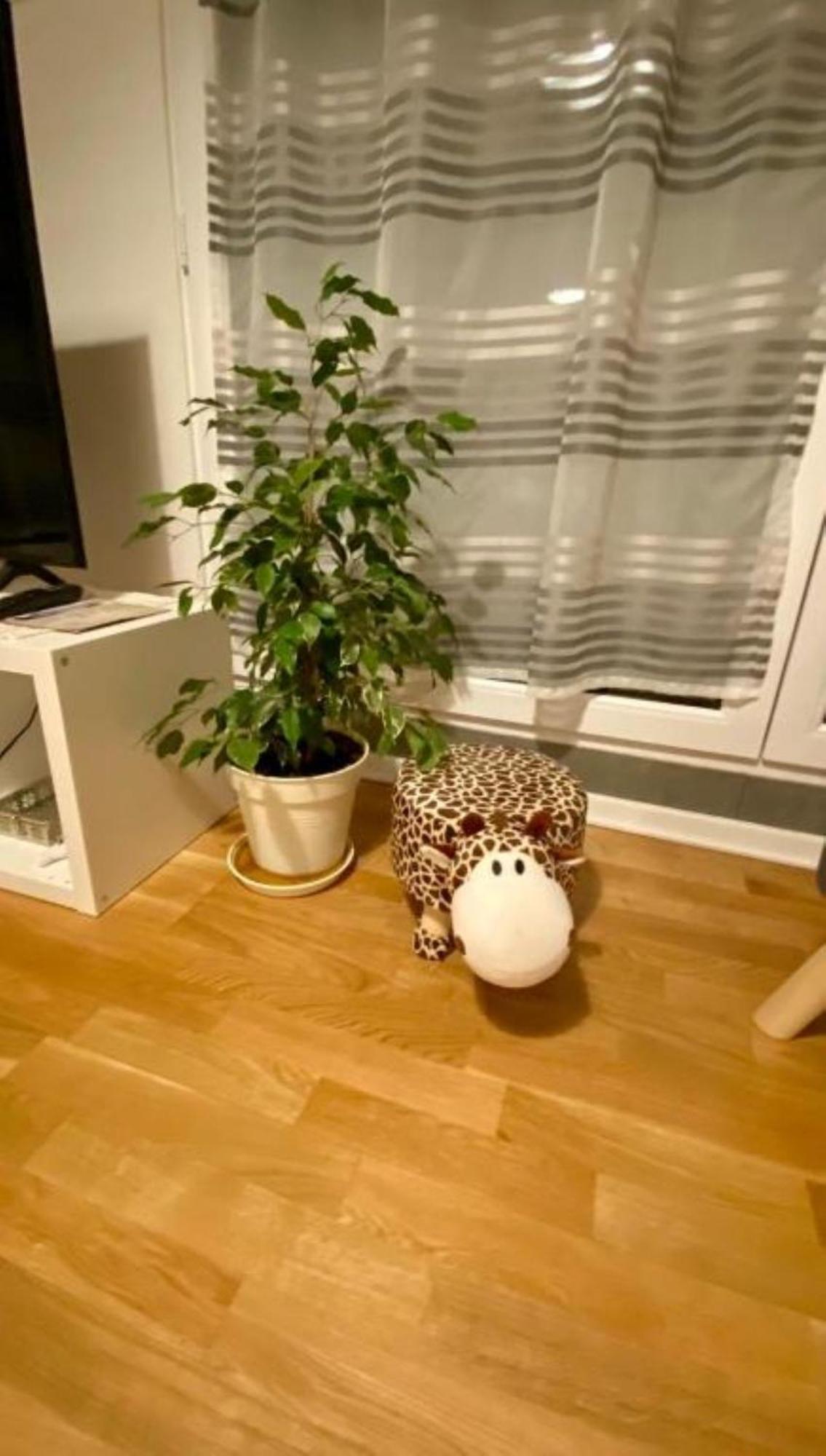 Schoenes Erwachen Im Frankfurter Penthouse Francoforte sul Meno Esterno foto